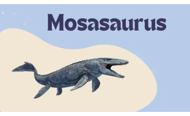 Mosasaurus: The Apex Predator of the Ancient Seas Mosasaurus: The Apex Predator of the Ancient Seas