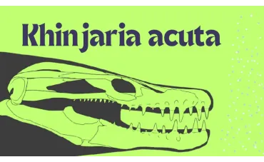Khinjaria acuta: The Dagger-Toothed Sea Monster of the Cretaceous Khinjaria acuta: The Dagger-Toothed Sea Monster of the Cretaceous
