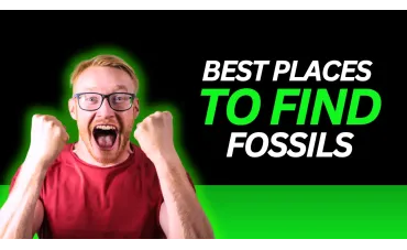Unearthing Ancient Wonders: Your Guide to the Best Fossil Hunting Grounds Unearthing Ancient Wonders: Your Guide to the Best Fossil Hunting Grounds