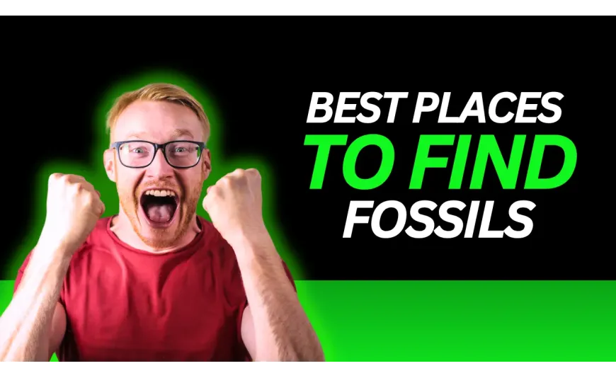 Unearthing Ancient Wonders: Your Guide to the Best Fossil Hunting Grounds Unearthing Ancient Wonders: Your Guide to the Best Fossil Hunting Grounds