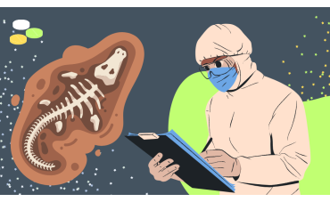 Fossil Hunting Tools & Gear: The Ultimate Beginner’s Guide Fossil Hunting Tools & Gear: The Ultimate Beginner’s Guide