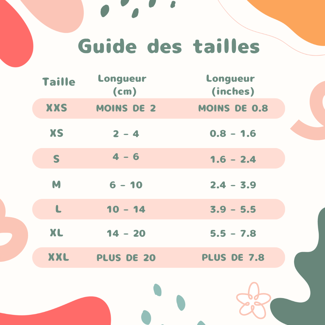 Dents de otodus obliquus en vente gros