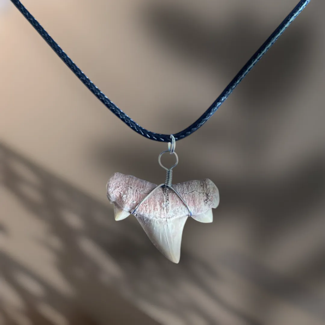 Collier Dent de Requin Crétolamna
